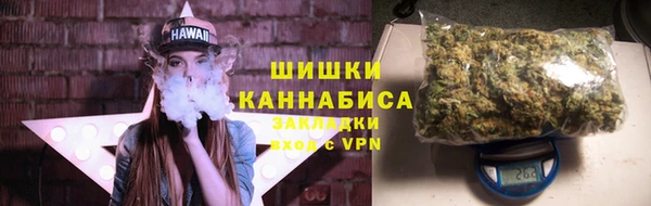 ГАЛЛЮЦИНОГЕННЫЕ ГРИБЫ Алзамай