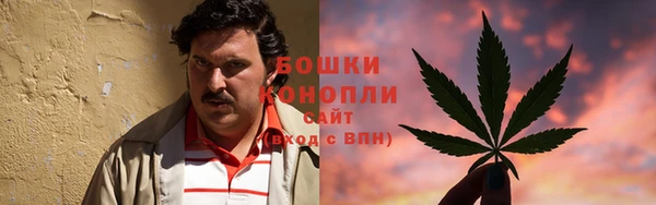 ГАЛЛЮЦИНОГЕННЫЕ ГРИБЫ Алзамай