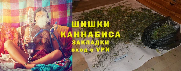 ГАЛЛЮЦИНОГЕННЫЕ ГРИБЫ Алзамай