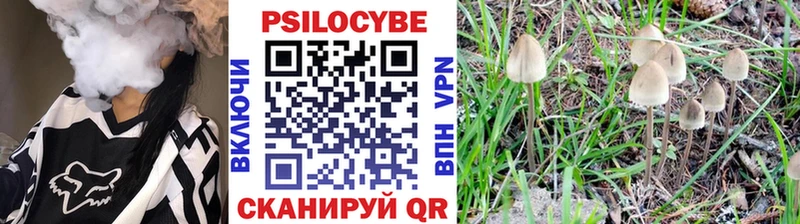 Галлюциногенные грибы Magic Shrooms  продажа наркотиков  Болхов 